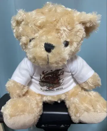YOASOBI WEMBLEY ARENA LIVE Teddy Bear