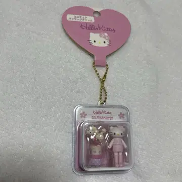 발길이 키티 미니어처 패키지 참