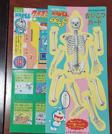도라에몽 해골 카드 퀴즈 컴퓨터 학년지 부록 묶음 판매