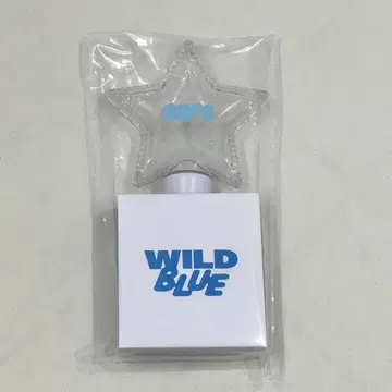 WILD BLUE 응원봉