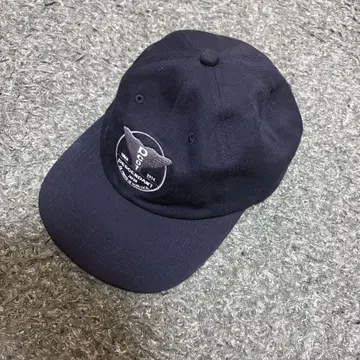 DESCENDANT CAP
