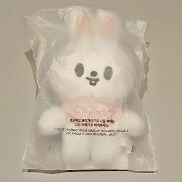 StrayKids 봉제 인형 10cm 스키즈 팬미팅 한국