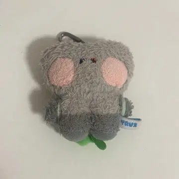 treasure truz bonbon 모자 꽁지 키링 준규