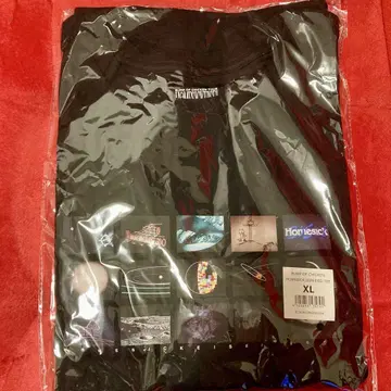 BUMP OF CHICKEN 홈시크 위성 2024 티셔츠 XL