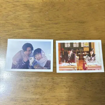 옆집 스텔라 입장자 혜택 야기 유세이 후쿠모토 리코