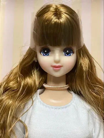 리카짱 캐슬 2019년 고베 산노미야 BASIC 모델 제니 V2