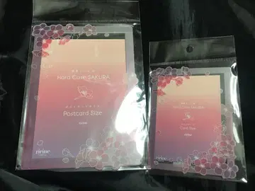 후쿠야 경질 카드 케이스 벚꽃 핑크 카드 사이즈 엽서 사이즈