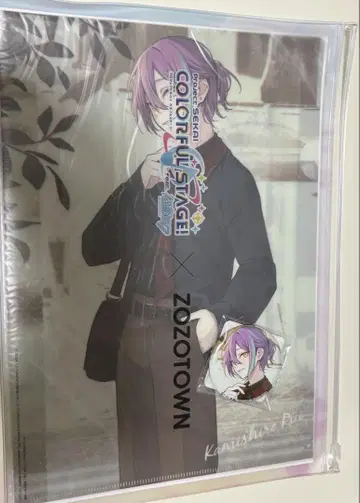 프로세카 카미시로 루이 ZOZOTOWN 콜라보