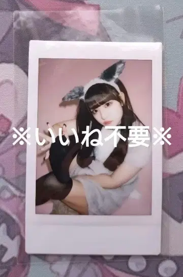 치바유나 애니멀 폴라로이드 좋아요 불필요