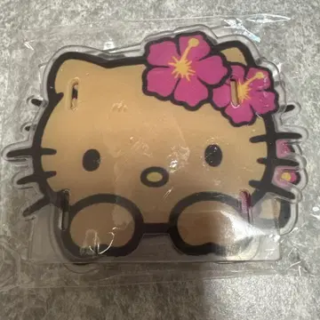 일광화상 키티 하이비스커스 아크릴 펜꽂이! 미사용 새상품