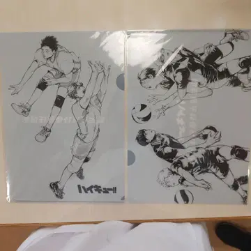 하이큐 센다이 관광 특사 취임 클리어 파일 2종 세트