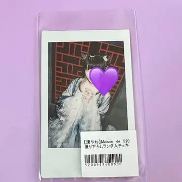 타마키야네 체키