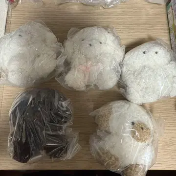 죠세마루 봉제 인형 전 5종 세트 새상품 익명 배송 가챠가챠 2