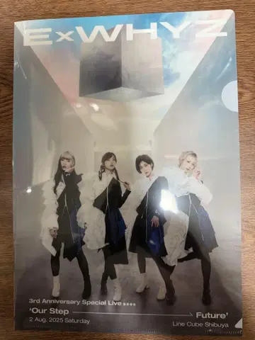 ExWHYZ 클리어 파일