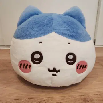 치이카와 프리미엄 돔 쿠션 하치와레