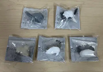 화난 고양이 쨔아아앙 피규어 세트.