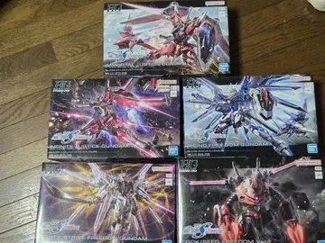 SEED FREEDOM HG 1/144 건담 프라모델 5체 세트