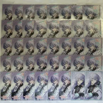 세이도 쇼 Dytica Happy pack 2025 폴라로이드풍 카드