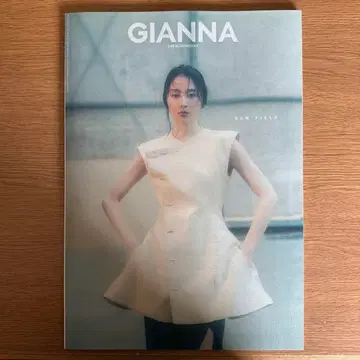 나가사와 마사미 GIANNA NEW FIELD