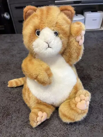 What's Michael 봉제 인형