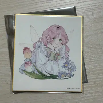 꽃을 숨긴 너의 메테올 팝업 특전 미니 색지 스텔라 꽃메테
