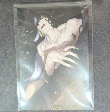 FGO 최종 재림 화집 TSUTAYA 혜택 엽서 아시야 도만