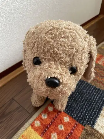 코코 거꾸로 서기 봉제 인형 강아지