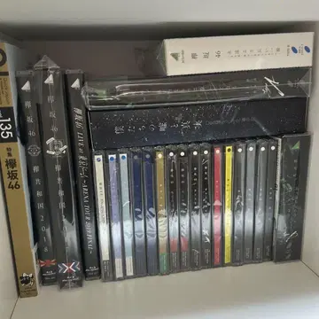 케야키자카46 라이브 DVD CD 세트
