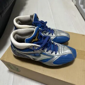 미즈노 프로 오더 스파이크 24.5