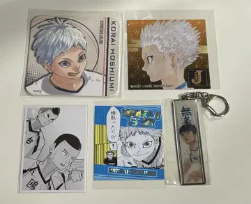 하이큐 호시우미 코라이 히루가미 코우타로 카모메다이 고교 세트