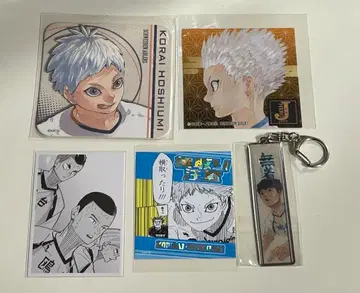 하이큐 호시우미 코라이 히루가미 코우타로 카모메다이 고교 세트