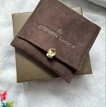 Stephen dweck 스티븐듀에크 갤럭티컬 귀걸이