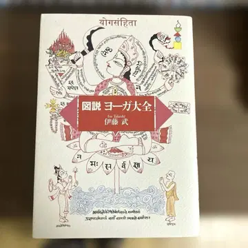 도설 요가 대전