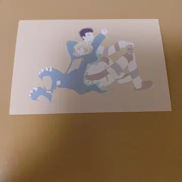 CLAMP전 츠바사 BOX 한정판 엽서