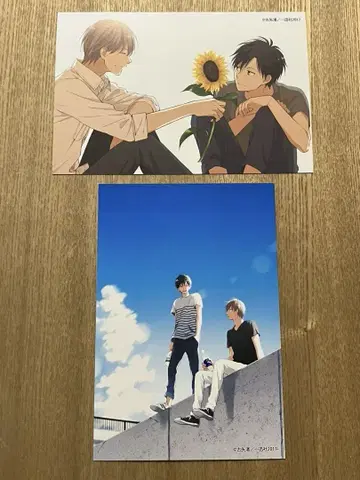 108 너는 여름 속에 너와 여름 속에 엽서