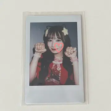 CANDYTUNE 타치바나 코토미 고양이 귀 폴라로이드 냥포코라 페스티벌