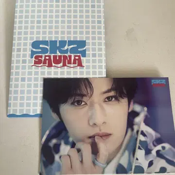 StrayKids 스키즈 렌트레 리노 스키즈 사우나