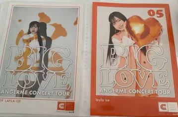 이세 레이라 BIG LOVE 핑포스