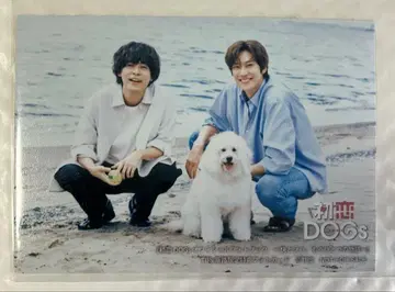 나리타 료 나 이누 하프 포토 카드 TBS 혜택 첫사랑DOGs 포토북