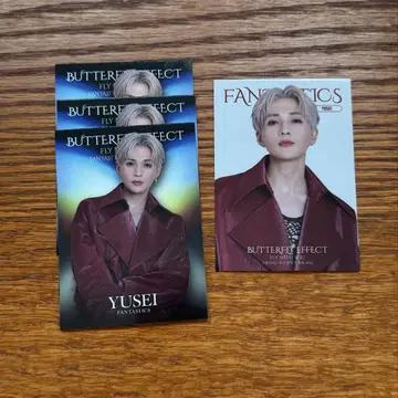 야기 유세이 포토 카드 4매 세트
