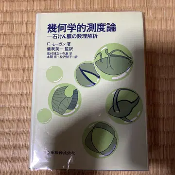 기하학적 측도론 : 비눗방울 막의 수리 해석