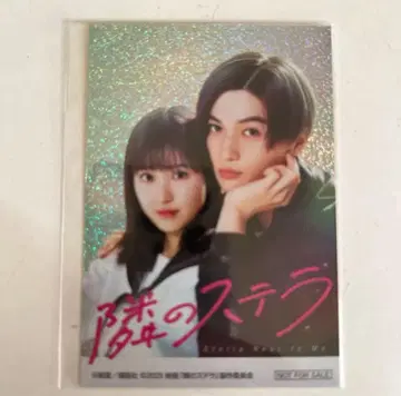 옆집 스텔라 반짝반짝 스티커