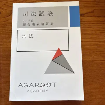 아갈루트 논증집 형법 2026