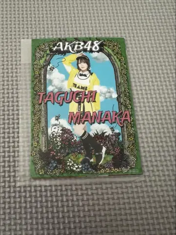 타구치 마나카 AKB48 다이마루 브로마이드