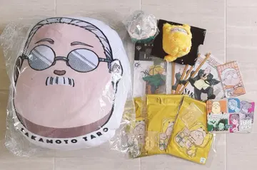 사카모토 데이즈 사카모토 타로 묶음 판매