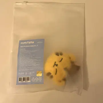 seventeen 호시 TAMTAM MINITEEN 페이스 키링
