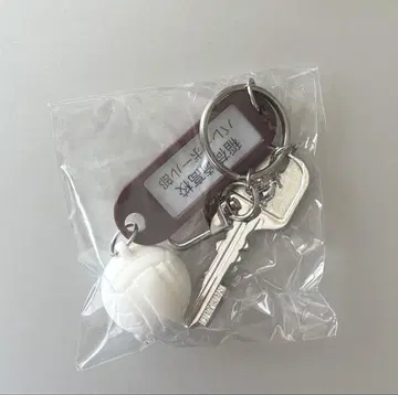 하이큐 트레이딩 고교 이름 열쇠 참 키링 이나리자키 고교