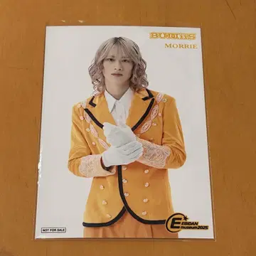 EBiDAN MUSEUM 2025 입장 혜택 BUDDiiS MORRIE