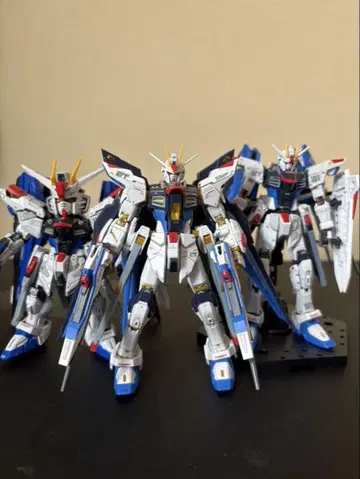 RG 스트라이크 프리덤+ RG 프리덤+ MGSD 프리덤