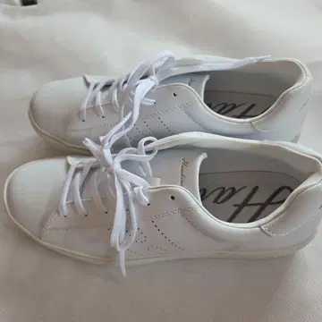 새상품급 호킨스 24cm 로우컷 스니커즈 골드 스티치